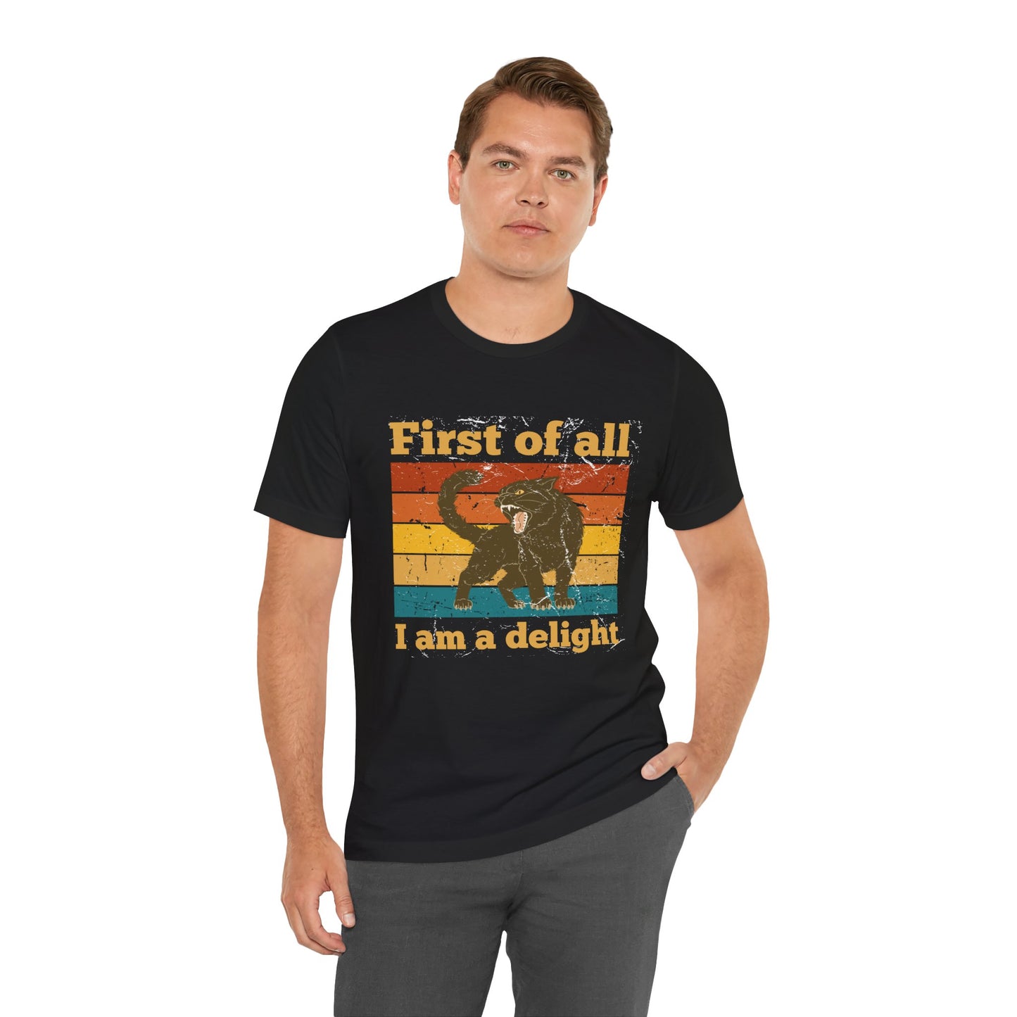 Funny Cat Tee, Cute Pet Shirt, Gifts for Cat Lovers, Humor Tee